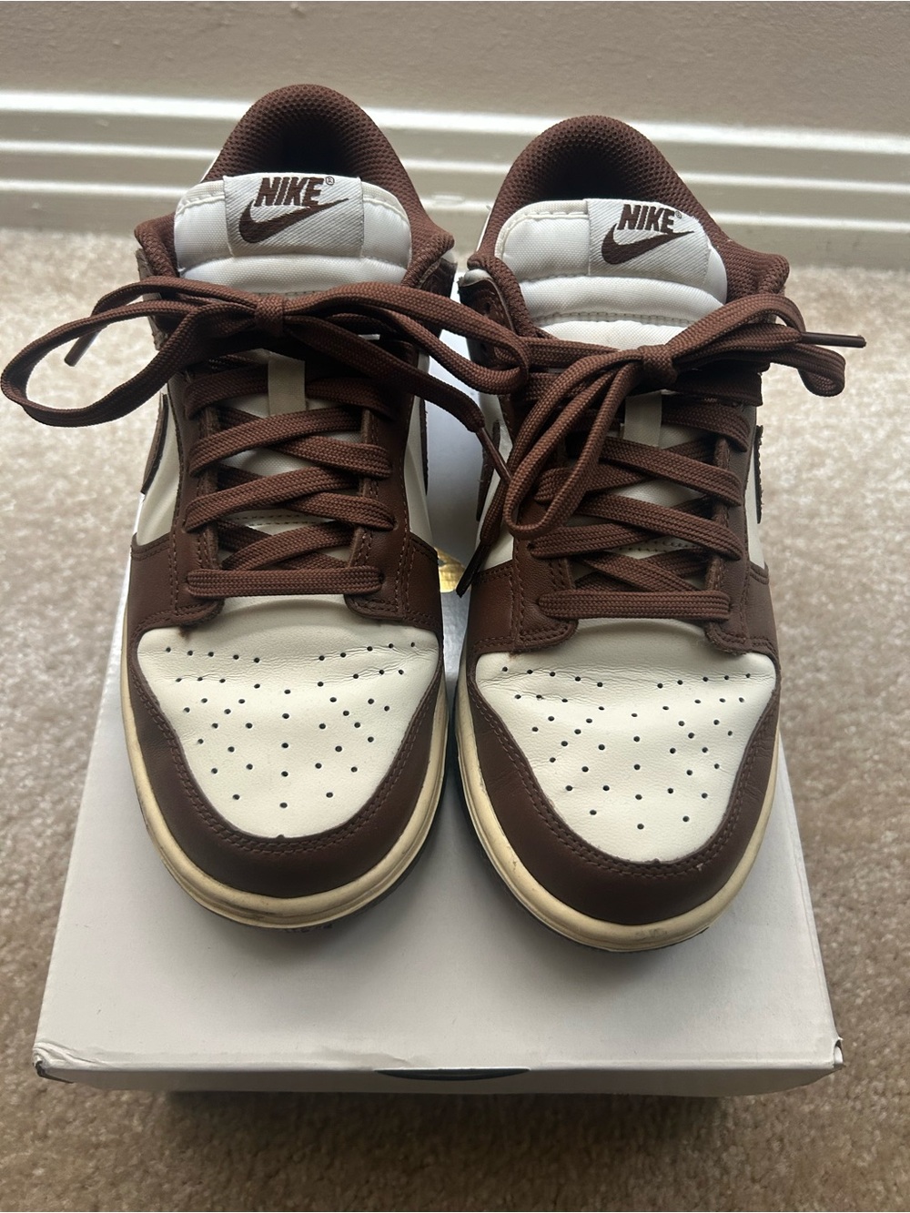 Nike Women’s Brown Dunk Lows